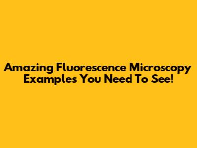 Amazing Fluorescence Microscopy Examples You Need To See!